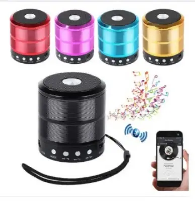 WS-887 মিনি ব্লুটুথ স্পিকার